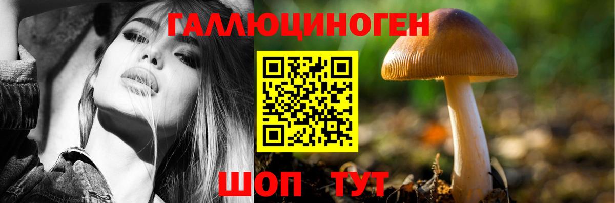 Псилоцибиновые грибы Cubensis Элиста
