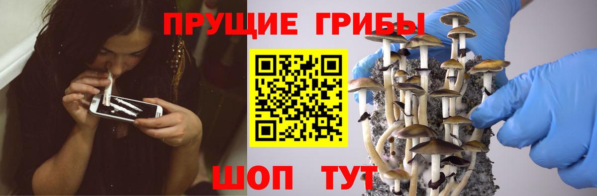 Элиста  Галлюциногенные грибы Magic Shrooms  Вход с VPN 